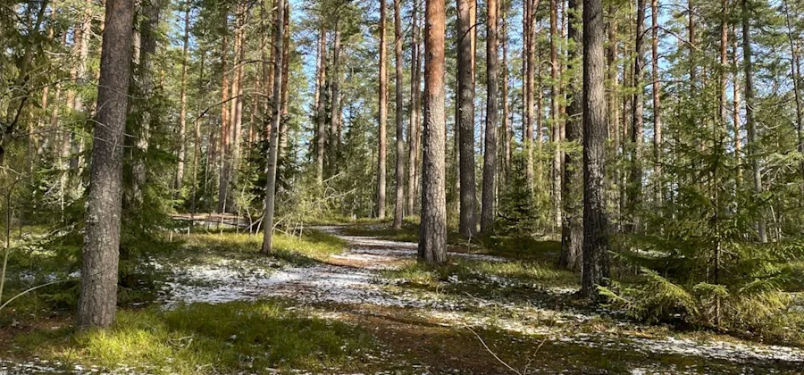 kartor över närområdet