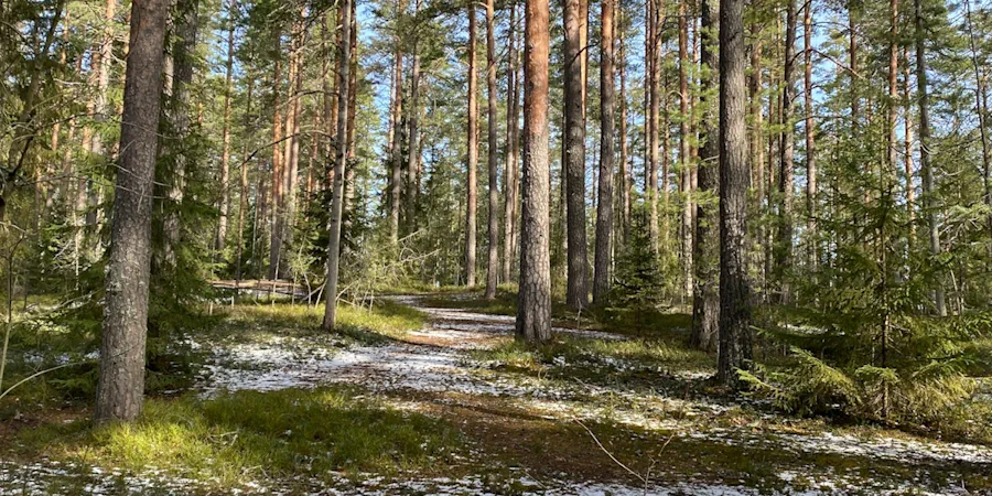 kartor över närområdet